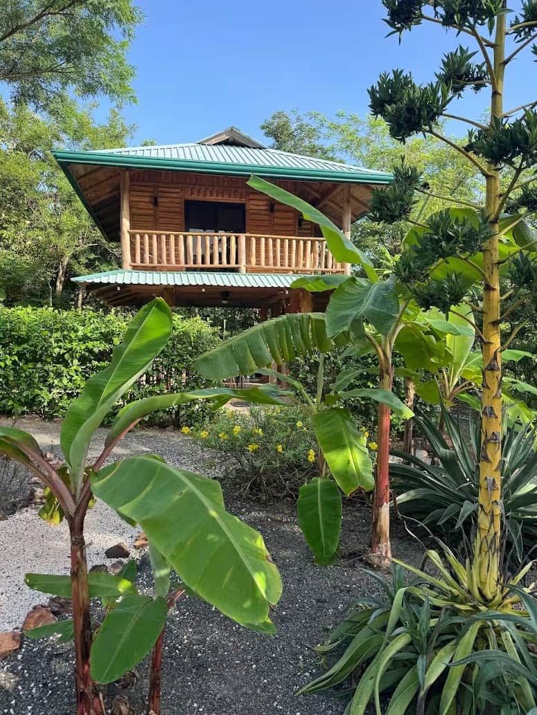 Una cabaña de madera con balcón, rodeada de plantas y árboles tropicales.