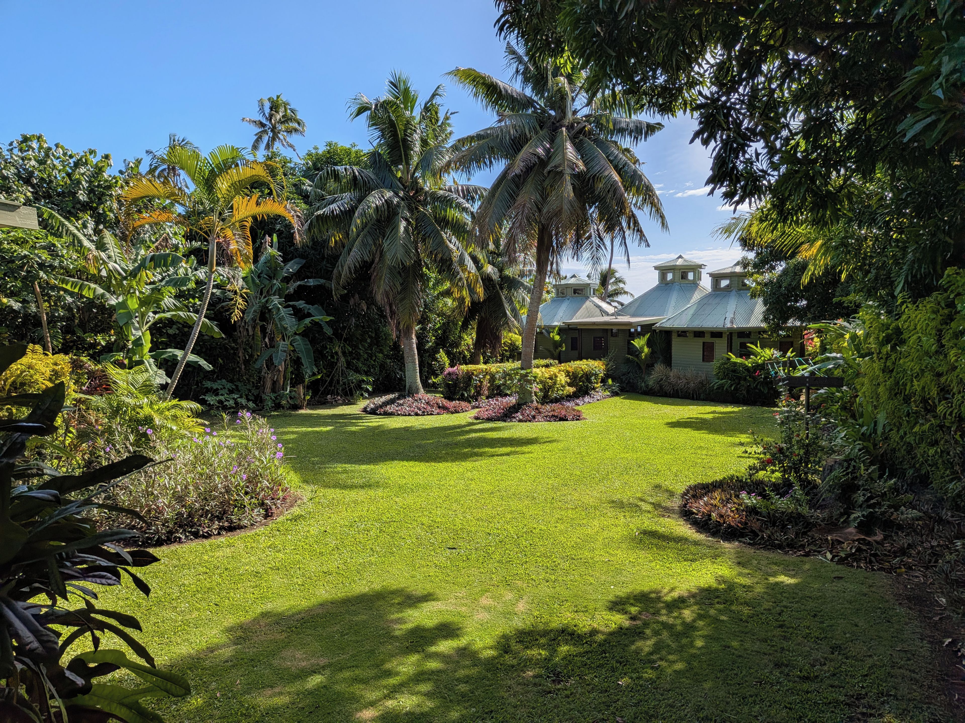 Un jardin bien entretenu, avec une variété de plantes tropicales et un ciel d’un bleu éclatant.