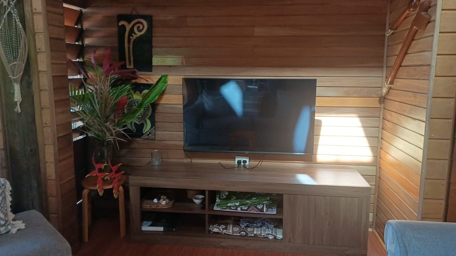 Une pièce aux murs lambrés, avec un téléviseur à écran plat fixé au mur, un petit meuble en bois en dessous et une plante en pot sur la gauche.