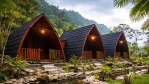 Ảnh chưa phân loại, 5 trong số 10 ảnh, nút