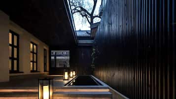 A narrow pathway with steps leading to a water feature, flanked by walls with windows and lanterns.