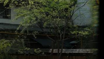 露台/庭院