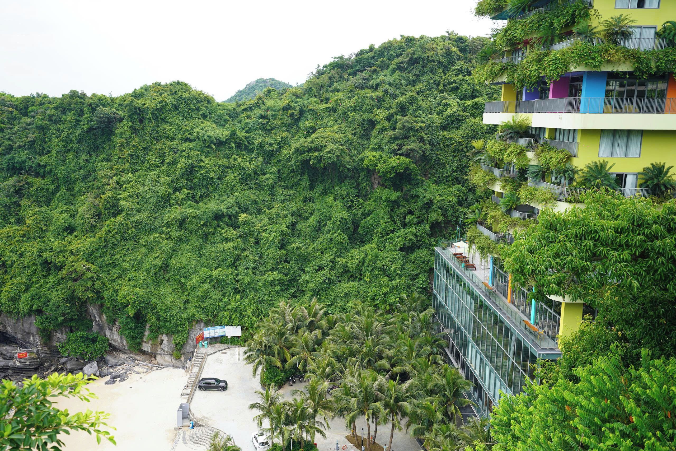 Ein Hotel mit Blick auf einen üppigen, grünen Hang, einen Strand und einen Parkplatz mit Fahrzeugen.