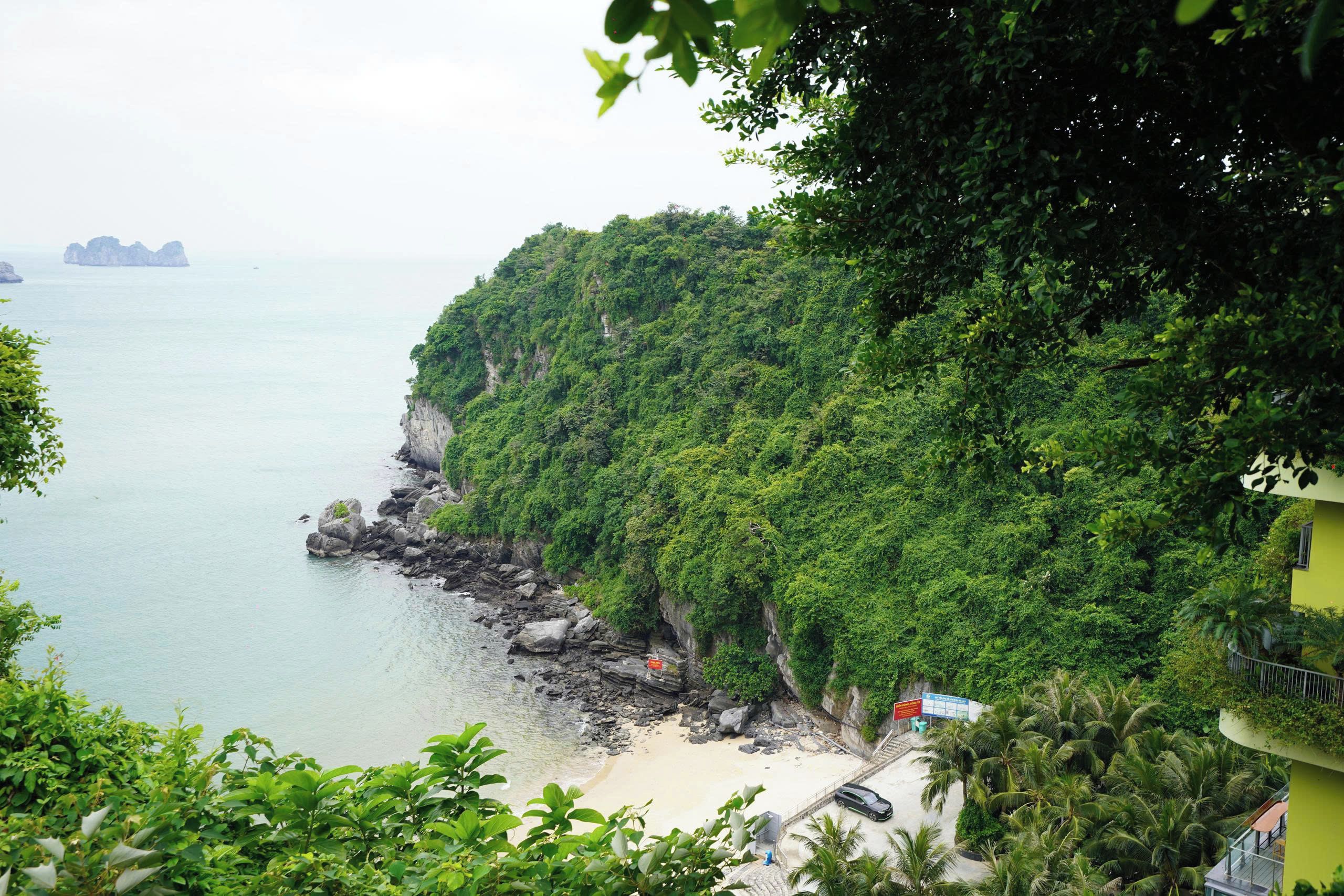 A coastal view with a rocky beach, dense greenery, and a clear view of the sea.