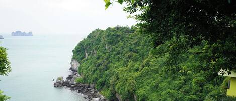 A coastal view with a rocky beach, dense greenery, and a clear view of the sea.