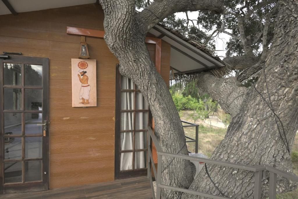 Pared exterior de madera con una puerta, una ventana con barrotes y un árbol.