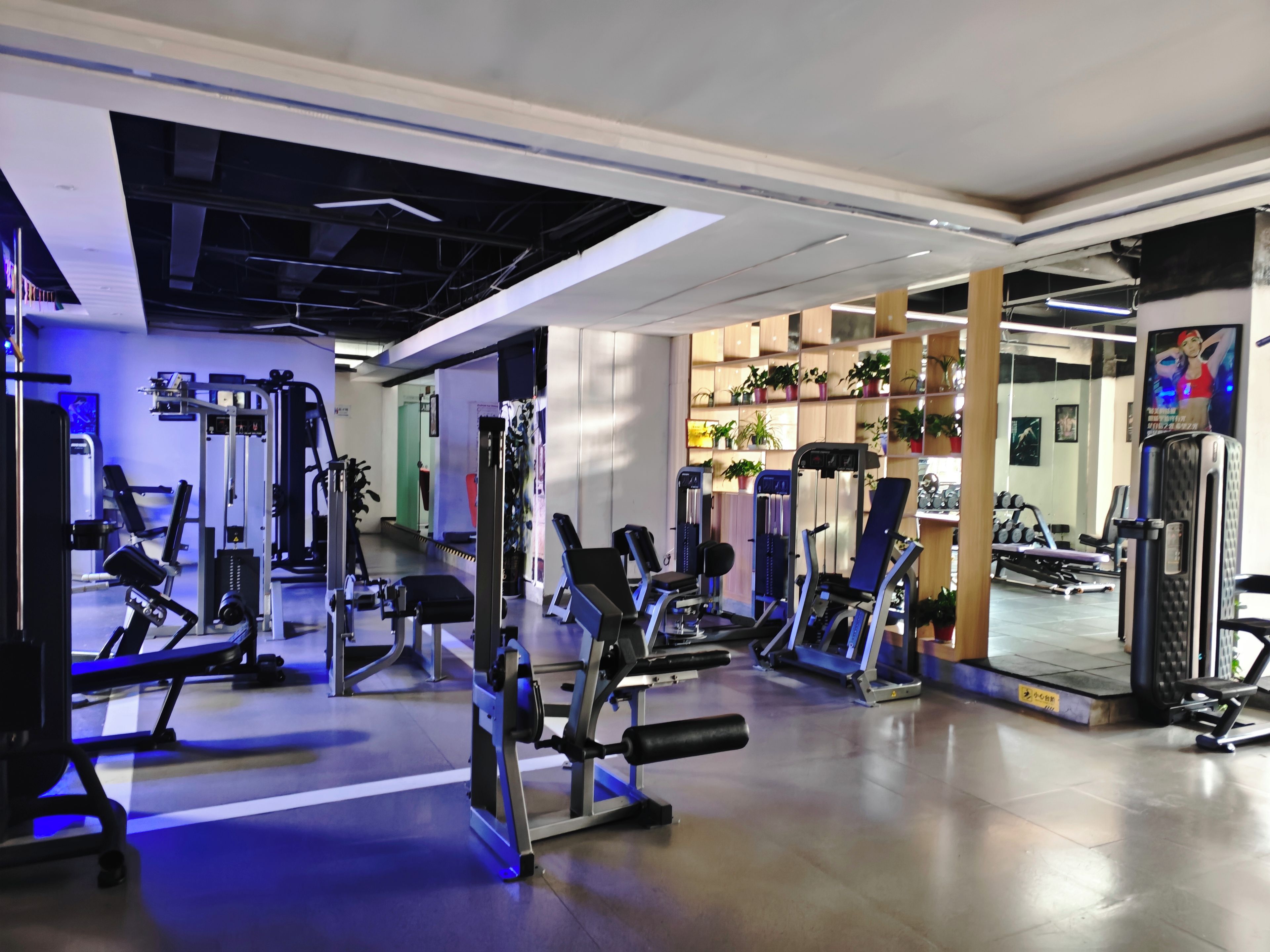 Un gimnasio con equipo de ejercicio variado, incluyendo cintas de correr y máquinas de pesas.