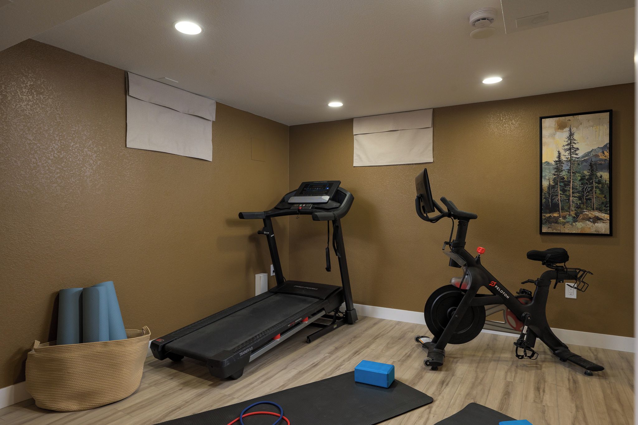 A home gym with a treadmill, stationary bike, and exercise mats.