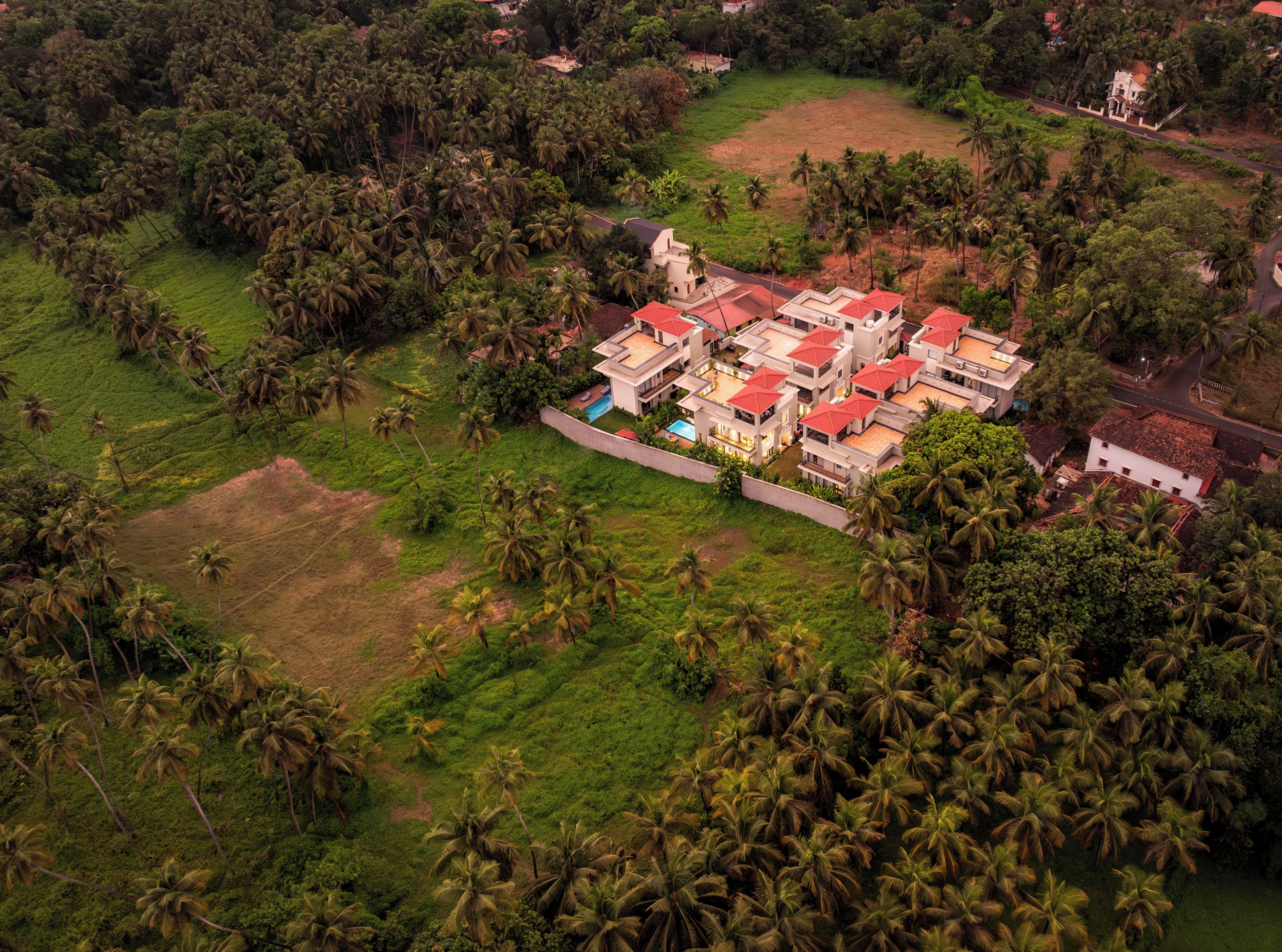 Vista aérea de um bairro residencial com várias casas rodeadas por vegetação exuberante e palmeiras.