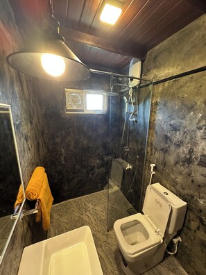 Une salle de bain avec une douche à parois de verre, des toilettes et un lavabo.
