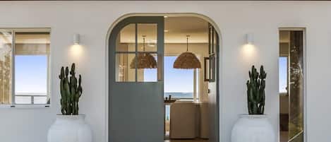 Ein moderner Gebäudeeingang mit Glastür, zwei großen Kübelkakteen und Blick ins Innere durch die Tür.