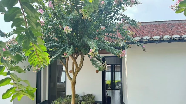 A building with a tiled roof, a gated entrance, and a tree with pink flowers in the foreground. - Yiyi Zhenxuan Hostel (Shanghai)