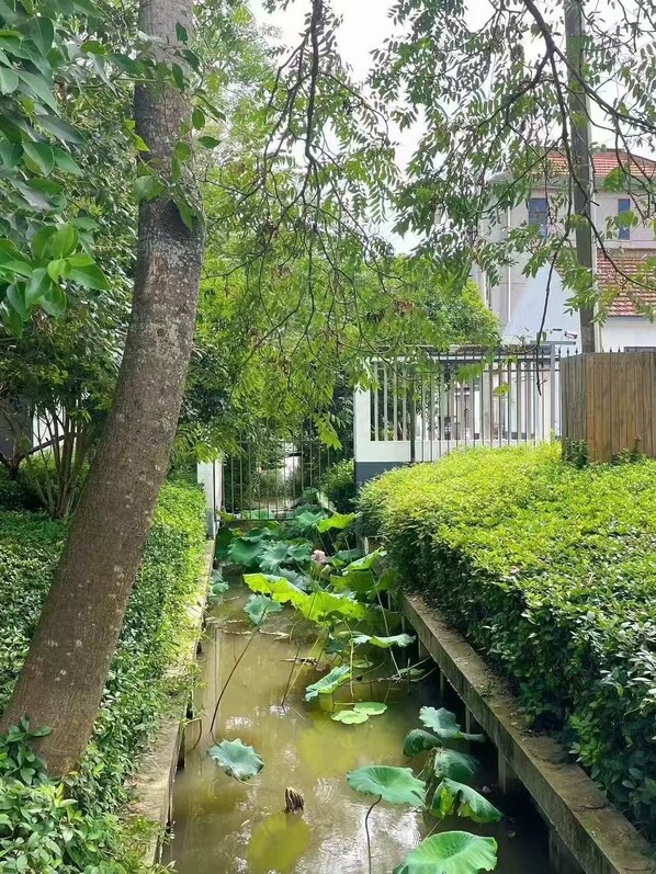 A narrow water channel with lotus leaves, surrounded by dense greenery and a fence.