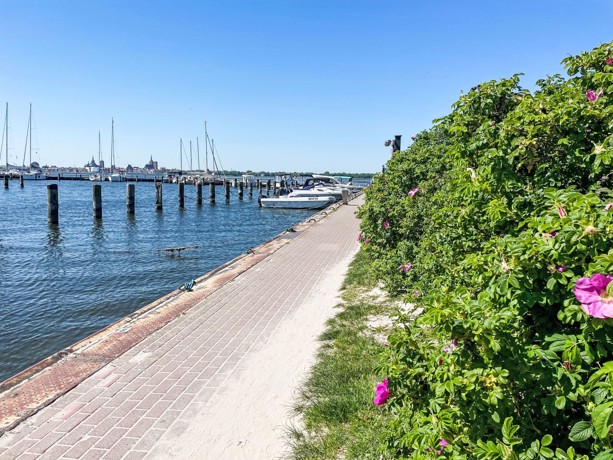 A waterfront promenade with a brick walkway, boats docked at the pier, and lush greenery along the path.