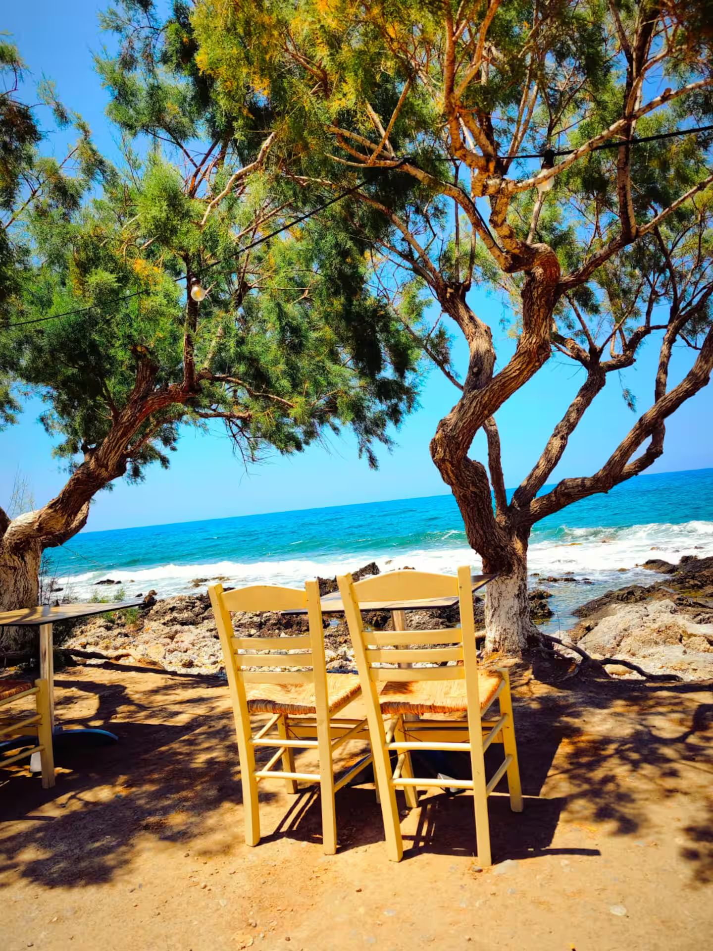 Escena de playa con dos sillas de madera bajo un árbol, con vista al mar.