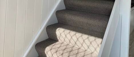 Un escalier avec des marches recouvertes de moquette et une rampe métallique.