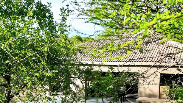 Property grounds - Luxury Bush Villa Near Kruger | Wildlife, Pool & Wood-Fired Hot Tub (Marloth Park)