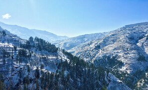 Paesaggio montuoso con terreno innevato e fitte foreste.