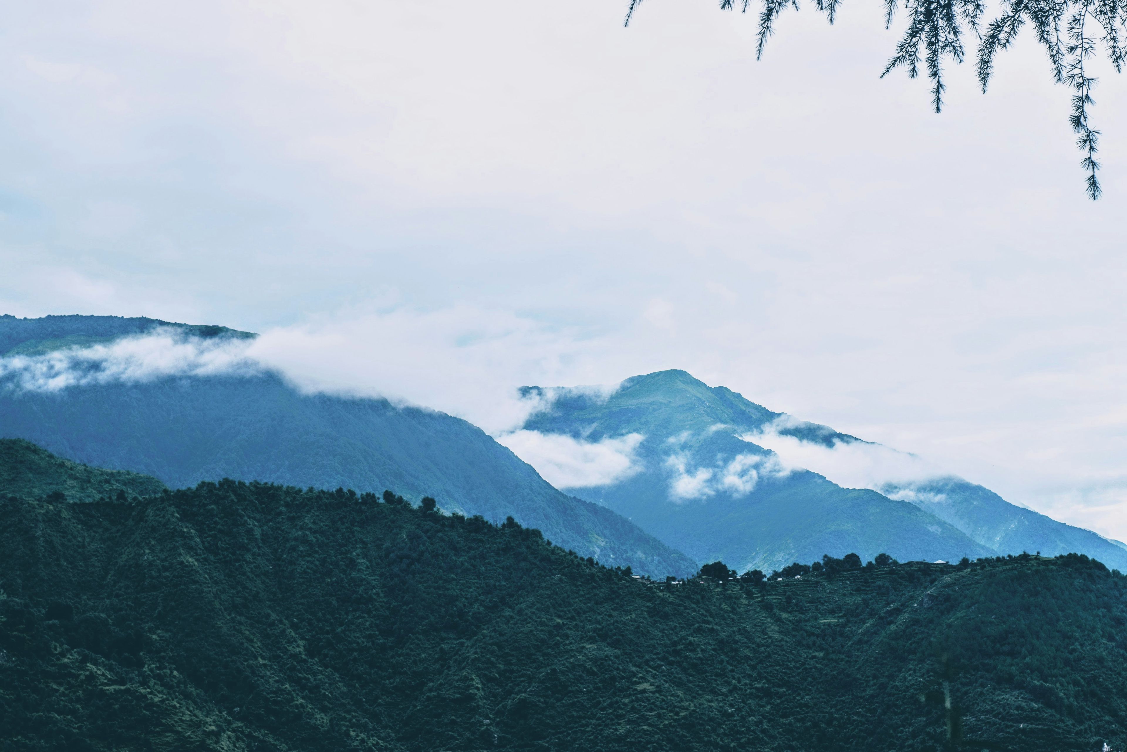 Un paisaje montañoso con bosque denso y picos cubiertos de niebla.