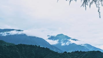 A mountainous landscape with dense forest and mist-covered peaks.