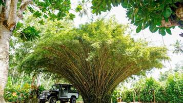 A vehicle parked under a large tree with dense foliage.