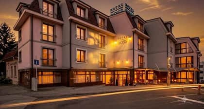 HOTEL BOSS