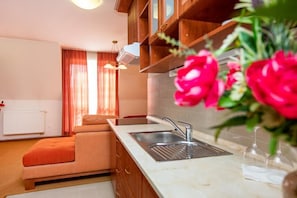 A modern kitchen with a built-in oven, a sink, and wooden cabinets. - HOTEL BOSS (Zilina)