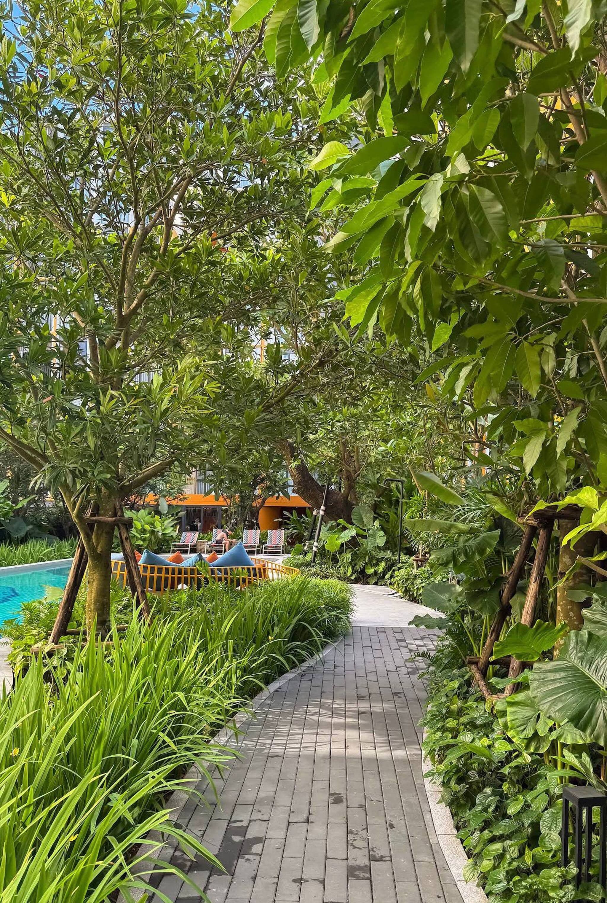 A pathway leading to a pool area with lounge chairs and umbrellas.