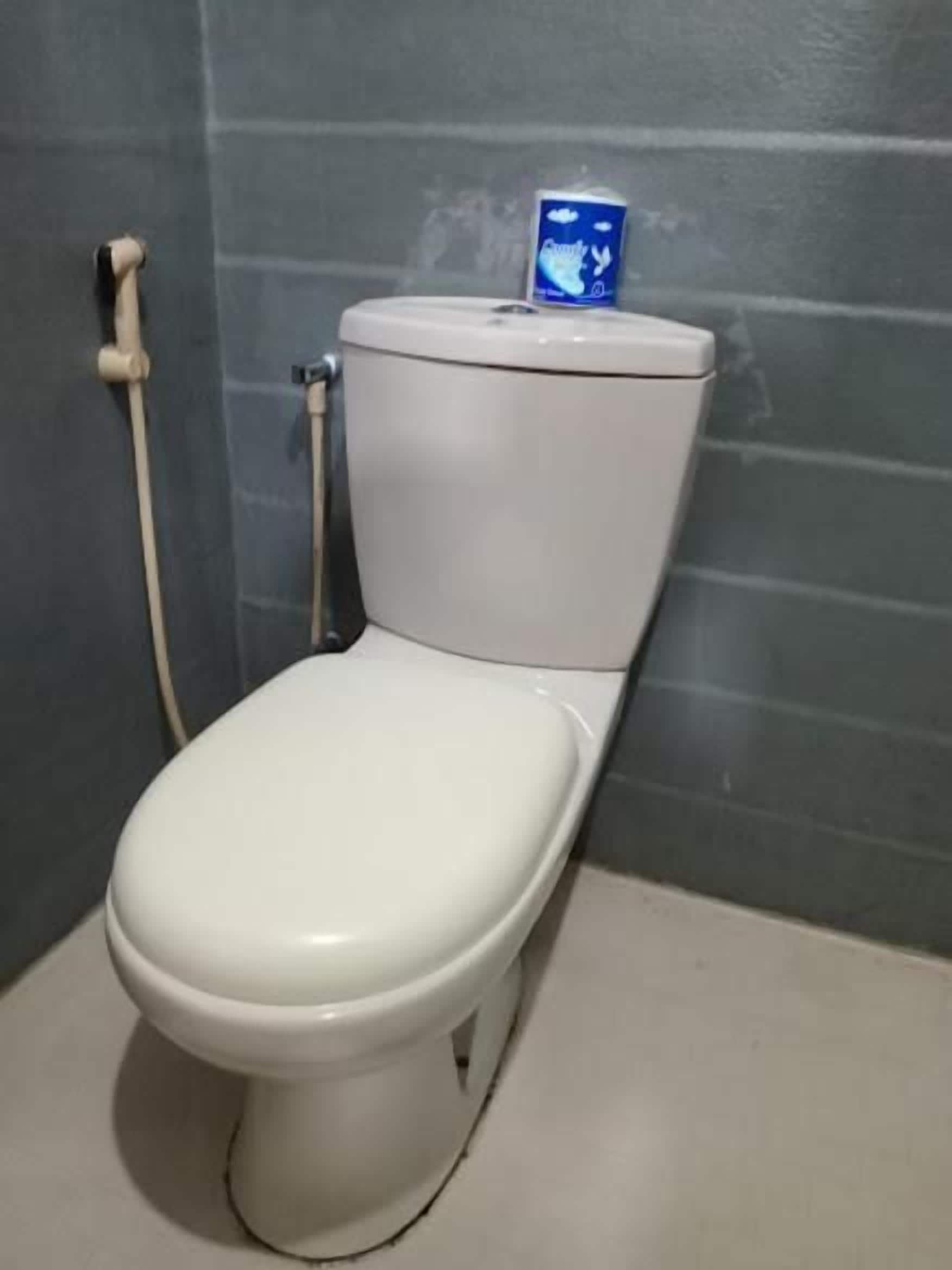 A toilet with a blue flush button and a water tank.