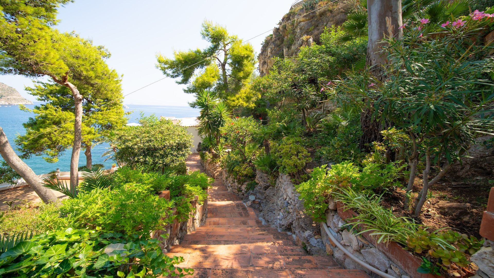 Un sendero de piedra que lleva a un acantilado con vistas al mar, rodeado de exuberante vegetación y plantas en flor.