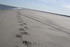A sandy beach with footprints leading towards the ocean. - Bungalow in Ballum with swimming pool (Ballum)