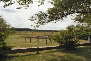 A fenced outdoor area with benches, trees, and a grassy field. - Holiday home with 2 bedrooms (Hollum Ameland)