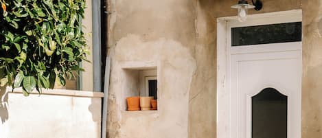 A patio area with a white door, a small window, and a potted plant.