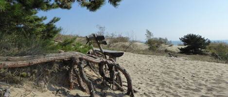A sandy beach with a wooden structure and a fallen tree.