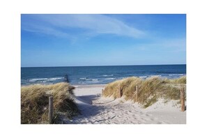 Un sentier qui longe la plage et mène à l’océan, avec des dunes de chaque côté.