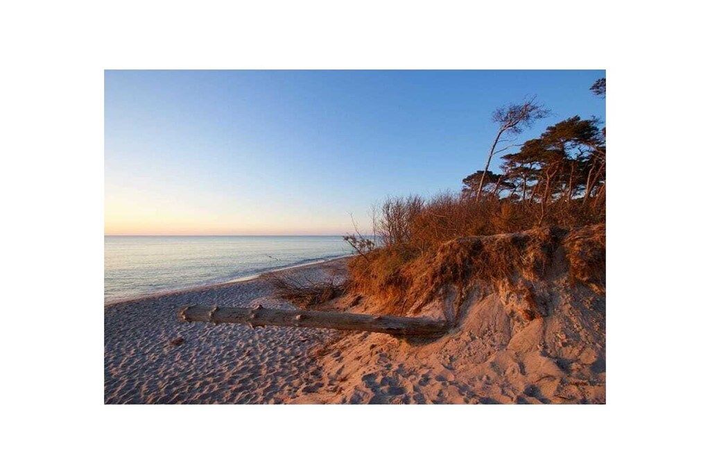 A sandy beach with a wooden log and sparse vegetation.