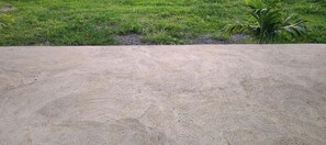 A concrete surface with a grassy area and a small plant in the background.