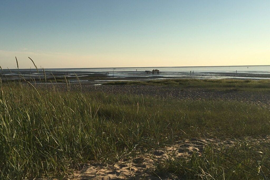 Ein Strand mit einem Pfad zum Wasser, einer Düne und einer weiten Aussicht auf den Horizont.