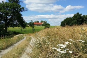 A rural landscape with a dirt path leading to a house with a red roof. - "Am Teich" on the Sanderhof (Rathmannsdorf)