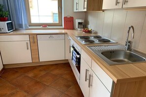 A modern kitchen with a dishwasher, stove, and sink. - Top 2 in the Alpin house (Uderns)