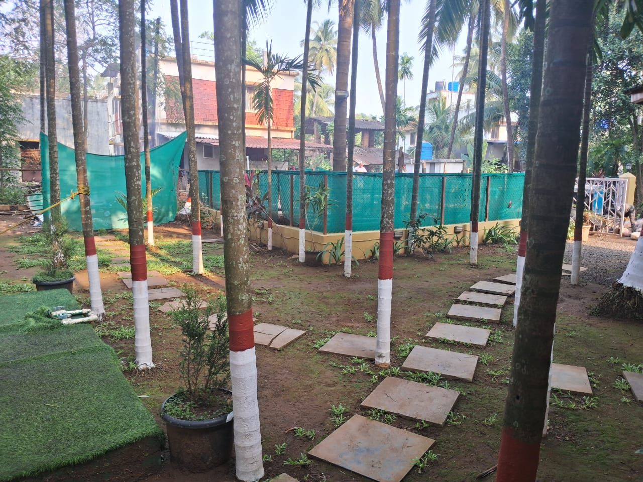Área de jardim com vasos de plantas, pedras no chão e uma estrutura de rede verde.