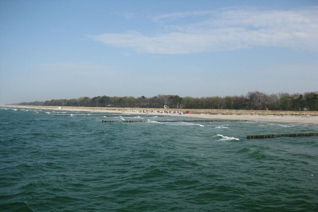 Une vue sur la côte, avec une plage de sable et une rangée d’arbres à l’horizon.