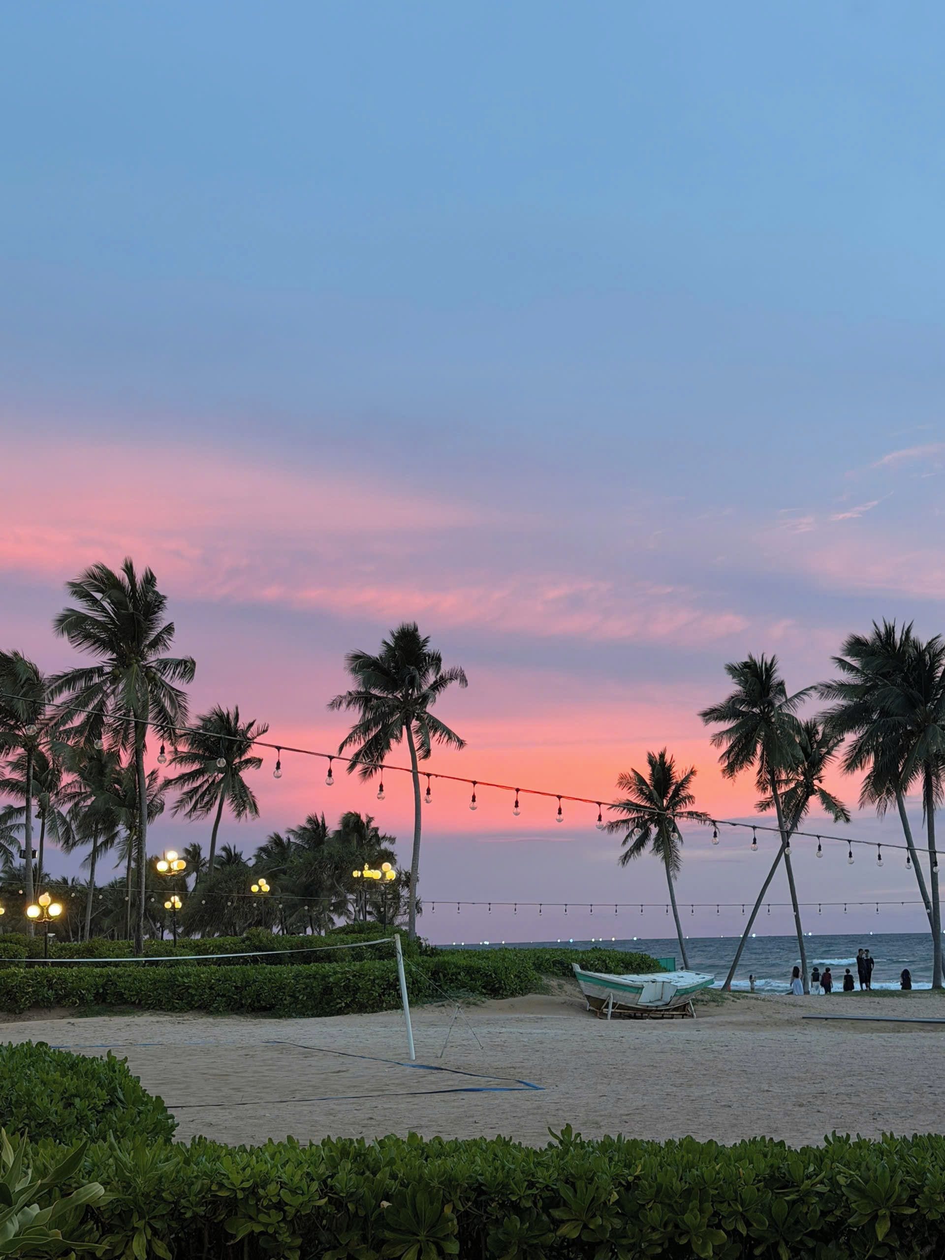 A beach with palm trees, a boat, and string lights.