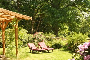 A garden with a pergola and two lounge chairs. - Holiday home with 1 bedroom (Neuenkirchen)