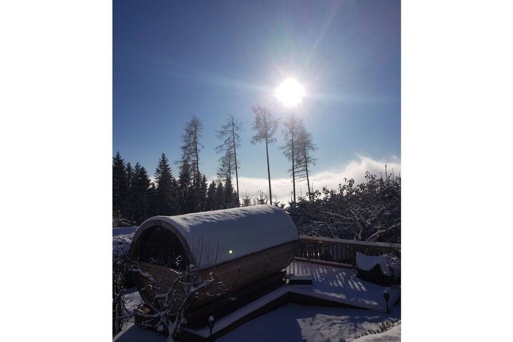 A snow-covered log cabin with a clear view of the surrounding forest.