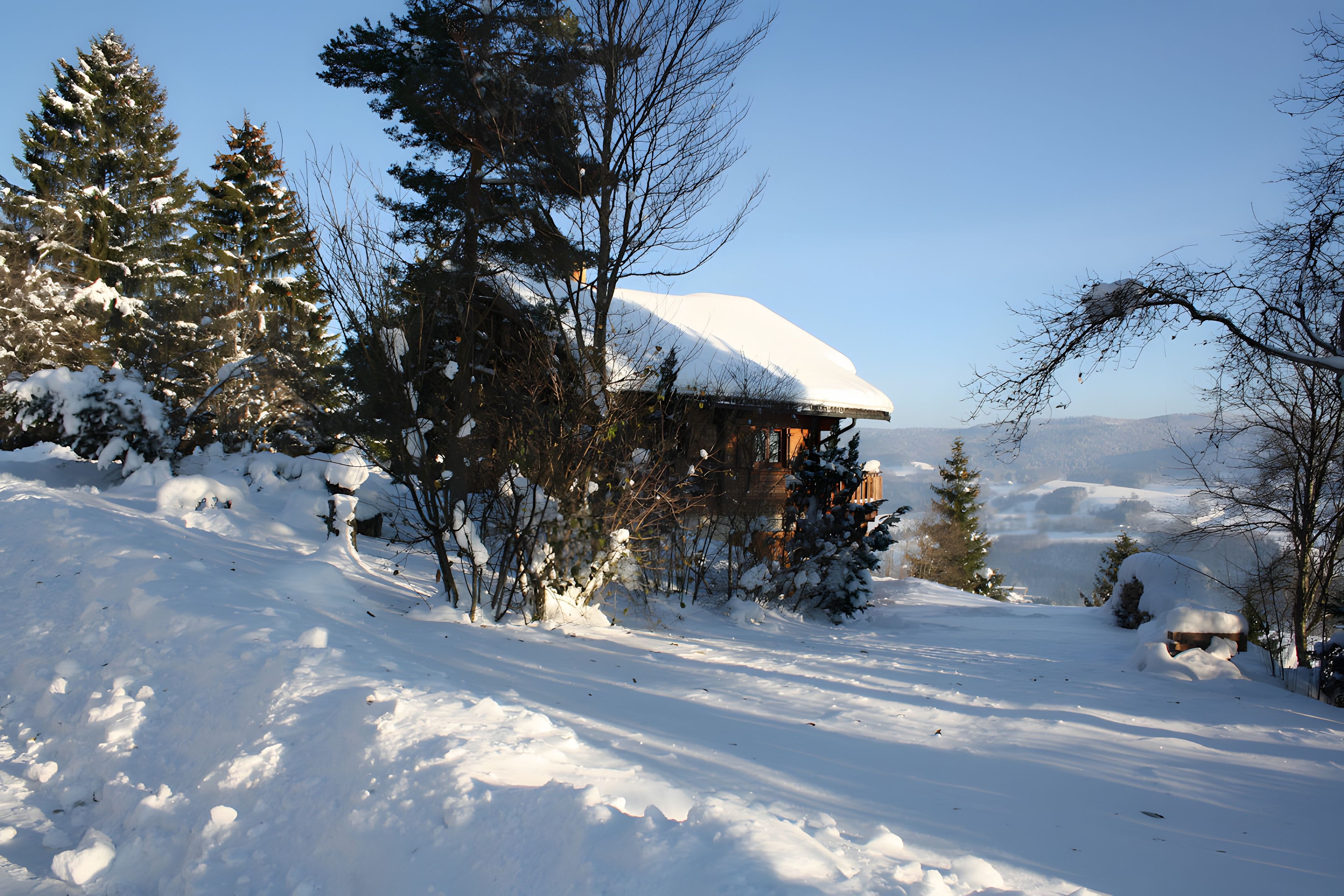 A cabin surrounded by snow-covered trees and a clear sky.