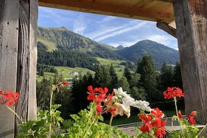 A wooden structure with a view of green mountains and a clear sky. - Fellhorn in the House of Narcissus (Riezlern)