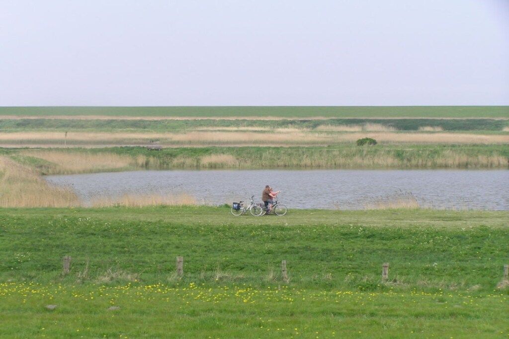 Eine Person mit einem Fahrrad in der Nähe von Gewässer, Wiesen und einem Zaun im Vordergrund.