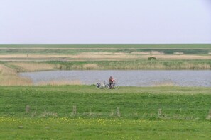 Una persona en bicicleta prop d'un cos d'aigua, amb camps de gespa i una tanca al primer terme.