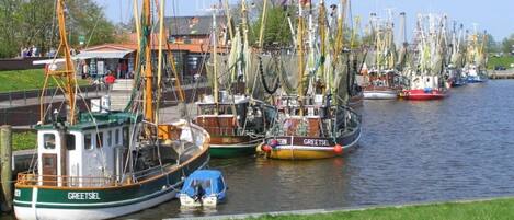 A harbor with multiple boats docked along the water.